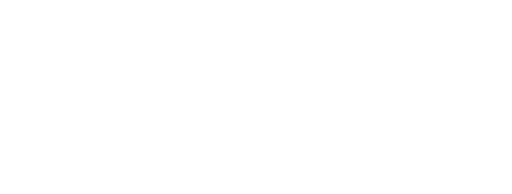 Spesifikasi Kanstin L20